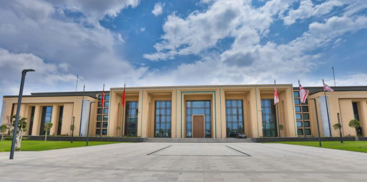 20 Temmuz’da ne oldu? Kıbrıs Türk halkının özgürlük mücadelesinin 51. yılı