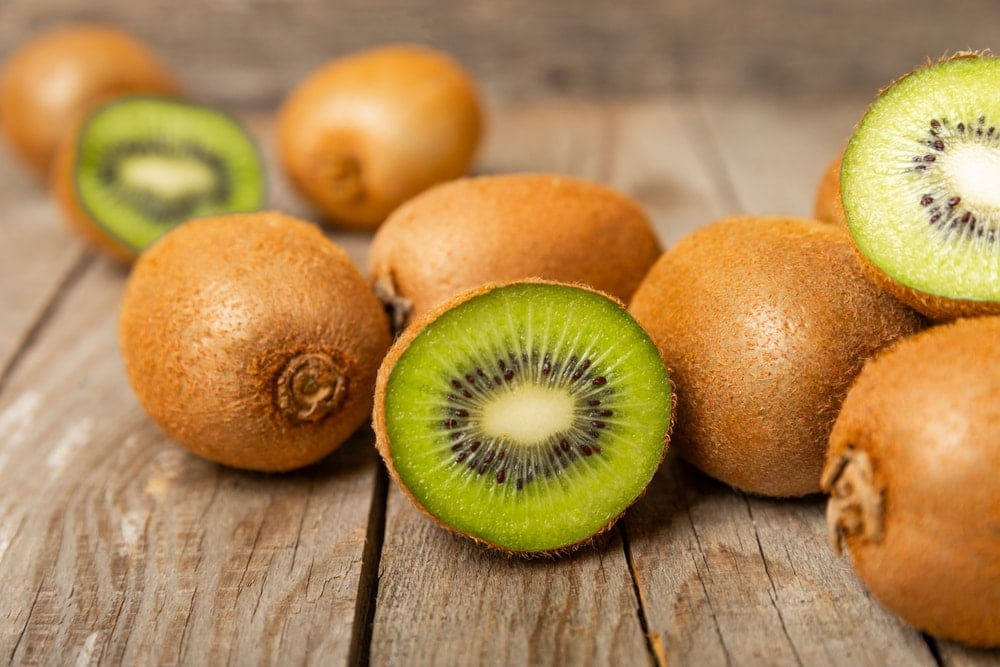 15 Yıllık çalışmanın sonucu