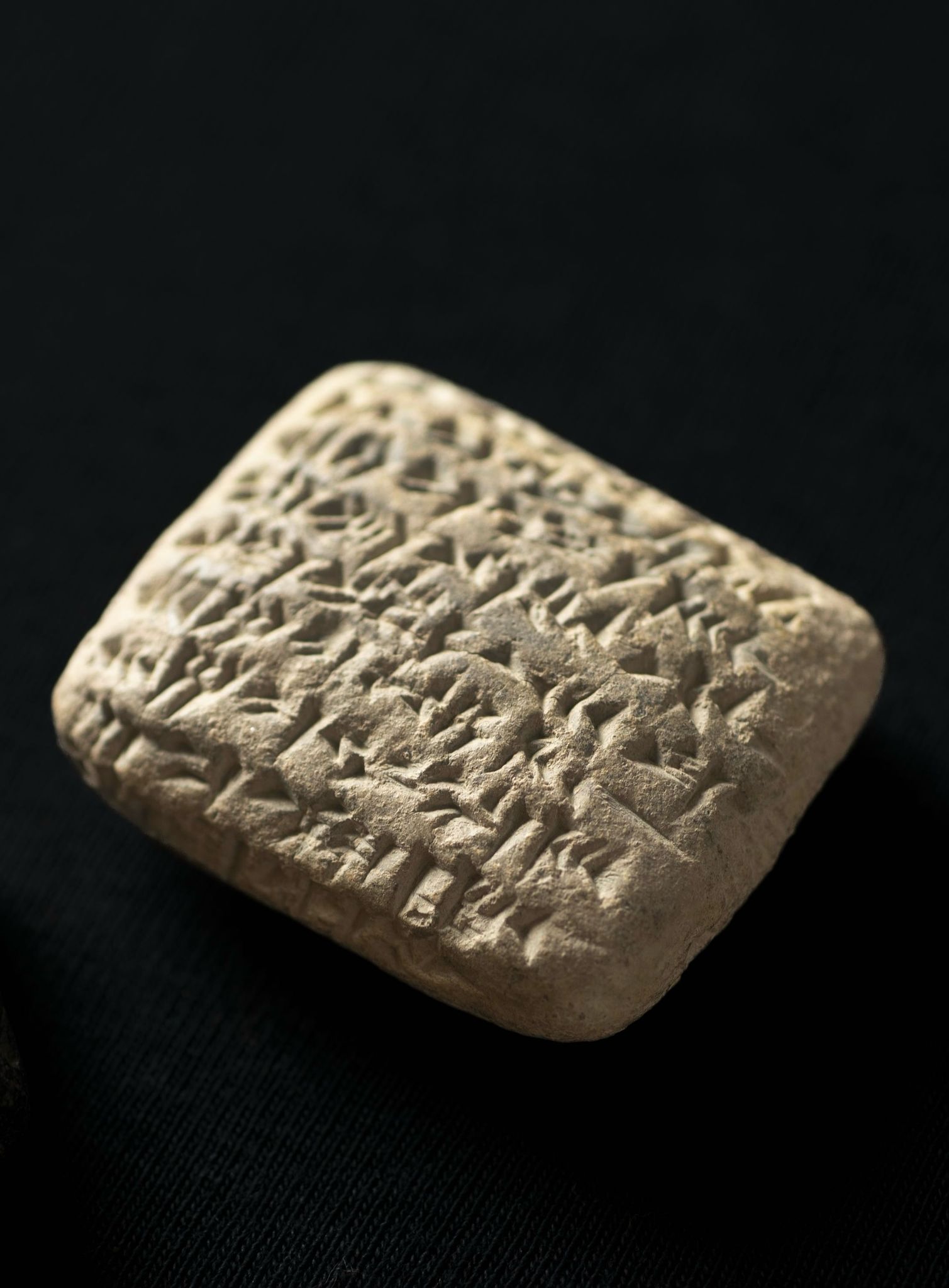 Sempozyumun Önemi ve Katılımcılar