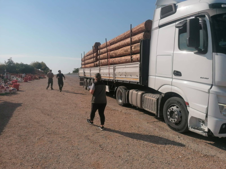 Bilecik Pazaryeri’nde orman emvali denetimi