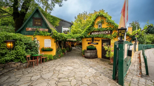 Genel Değerlendirmeler ve Sıralama