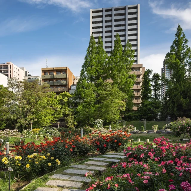 Genel Değerlendirmeler ve Sıralama