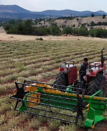 guneysinirda-kekik-hasadi-kurakliga-direncli-tarimda-yeni-donem-IqmXQEVH.webp