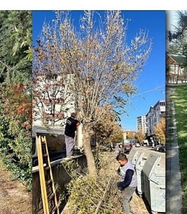 kahramankazanda-park-ve-kamusal-alanlarda-yenileme-agac-budama-ve-cim-bicme-calismalariyla-yaya-ve-yCpymC9g.jpg
