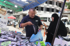 Rize'de Palamut Fiyatları Tezgahlarda 50 ile 100 Lira Arasında Değişiyor