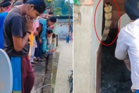 Hindistan'da Bir Evin Klozetinde Görülen Dev Kobra Panik Yarattı