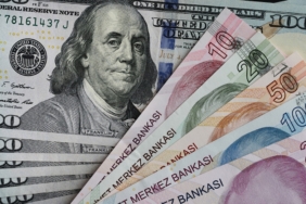 Dolar/TL haftanın ilk işlemlerinde 49,18 seviyesine çıkarak rekor kırdı