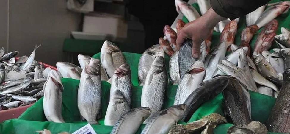 Roskachestvo Kış İçin Mezgit ve Uskumru Tüketilmesini Önerdi